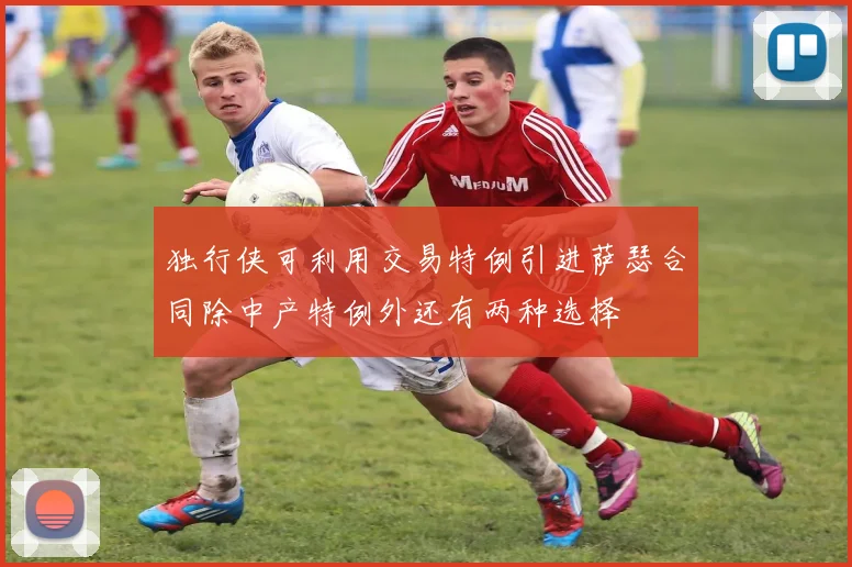 独行侠可利用交易特例引进萨瑟合同除中产特例外还有两种选择